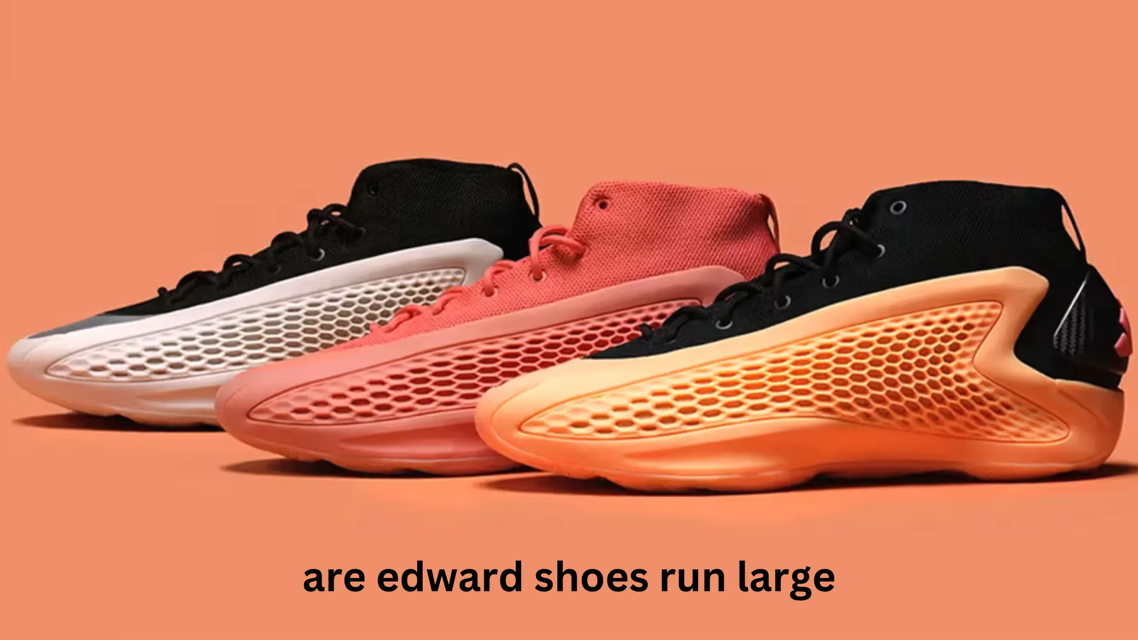 are edward shoes run large